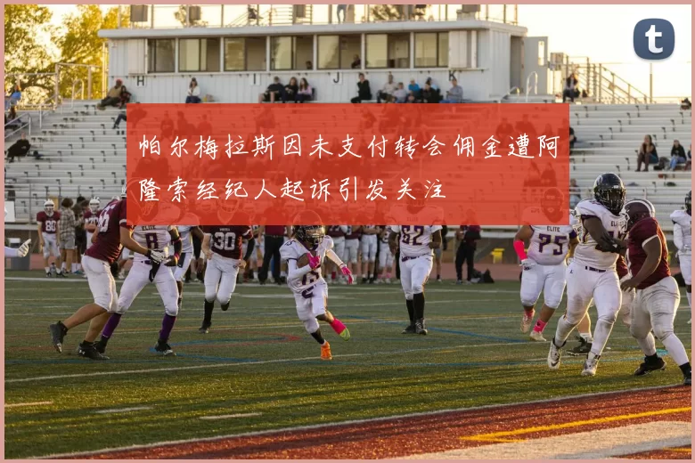 帕尔梅拉斯因未支付转会佣金遭阿隆索经纪人起诉引发关注