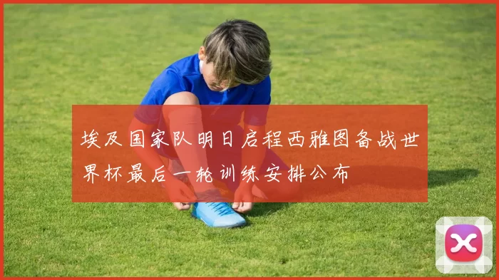 埃及国家队明日启程西雅图备战世界杯最后一轮训练安排公布