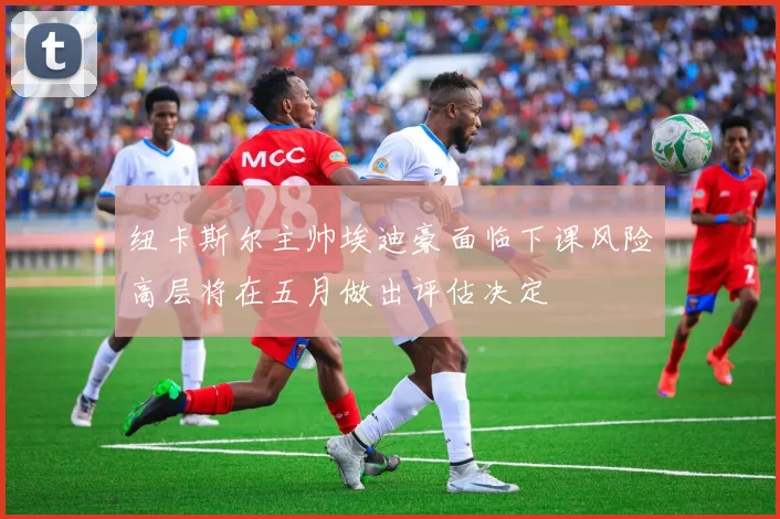 纽卡斯尔主帅埃迪豪面临下课风险高层将在五月做出评估决定